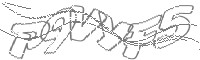 Check code